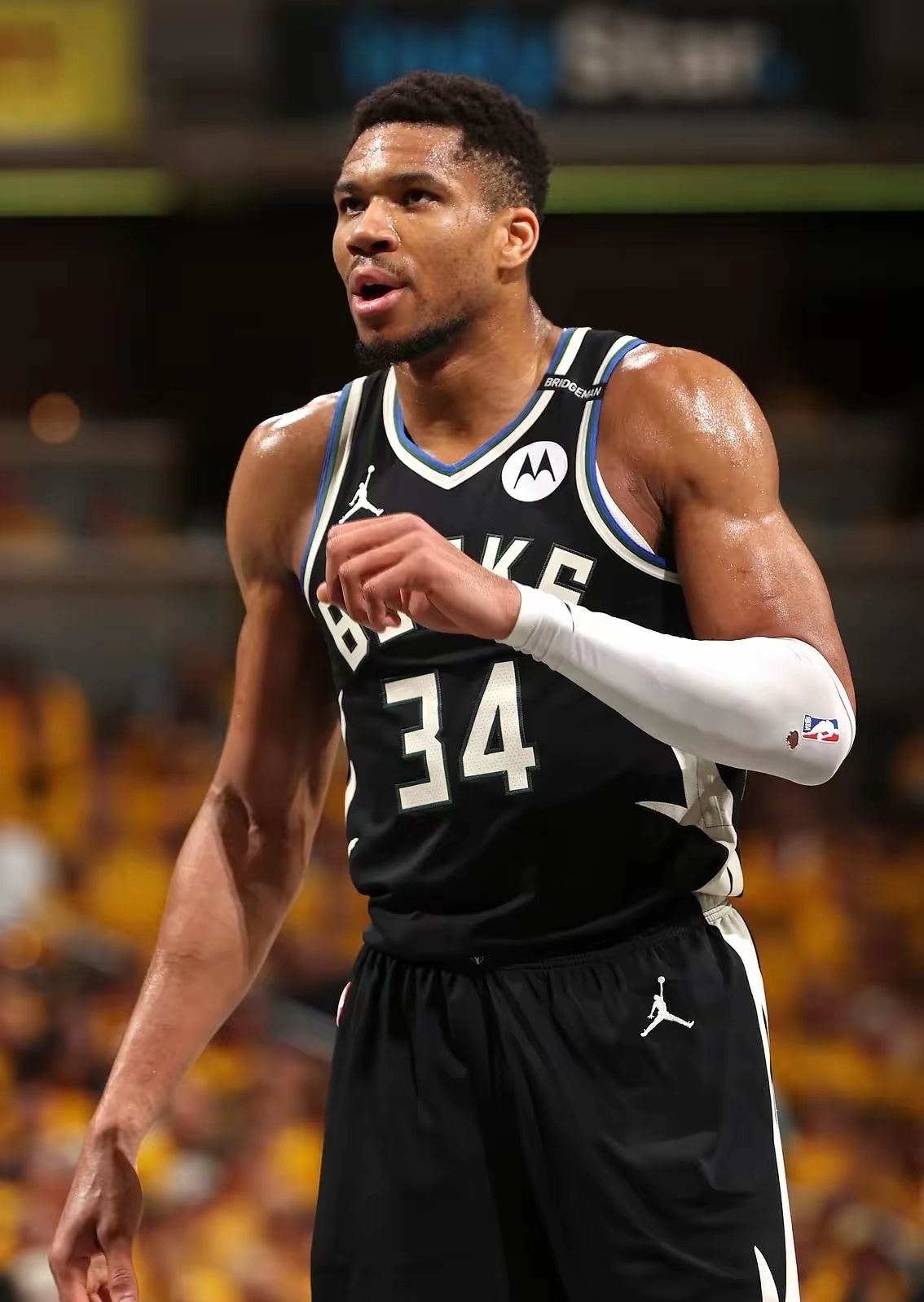 关于字母哥在加拿大队比赛中大胜,精彩发挥引发热议!的信息 关于字母哥在加拿大队比赛中大胜,精彩发挥引发热议!的信息